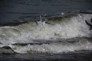 AW_Norderney_2015_07_013