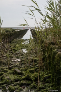 TH_Norderney_2015_07_010