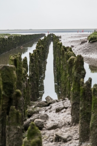 TH_Norderney_2015_07_011