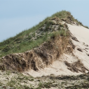 TN_Norderney_2015_07_004