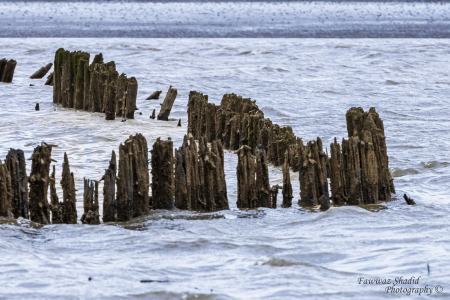 Bremerhaven_Juli_2025_007