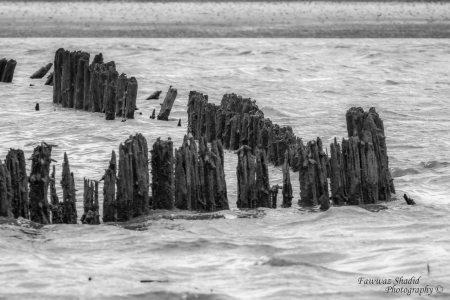 Bremerhaven_Juli_2025_008