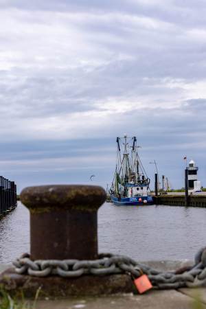 Bremerhaven_Juli_2025_015