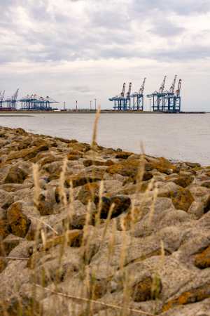 Bremerhaven_Juli_2025_016