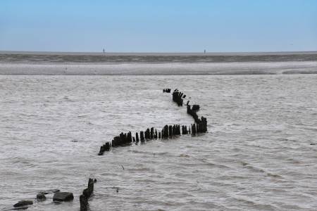Bremerhaven_Juli_2025_024