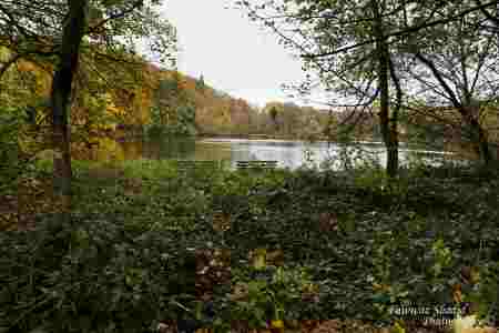 Indian-Summer_November_2025_001