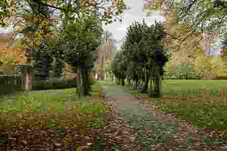 Indian-Summer_November_2025_005