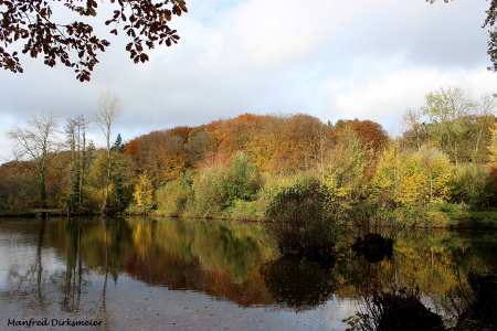 Indian-Summer_November_2025_006