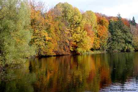 Indian-Summer_November_2025_007