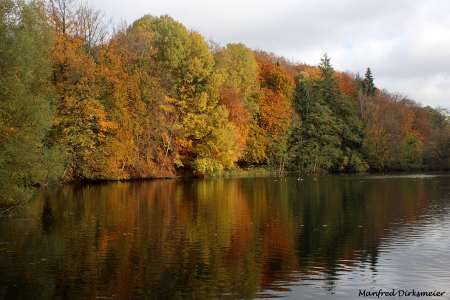 Indian-Summer_November_2025_008