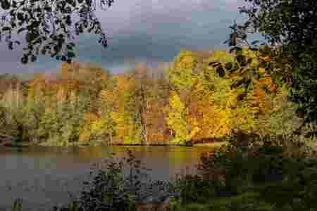 Indian-Summer_November_2025_009