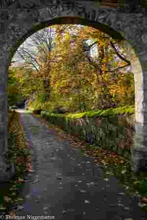 Indian-Summer_November_2025_014