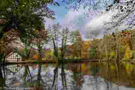 Indian-Summer_November_2025_015