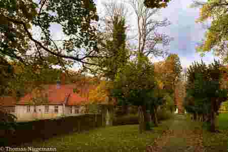 Indian-Summer_November_2025_018