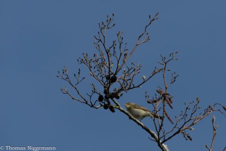 Ochsenmoor_2026_018-scaled