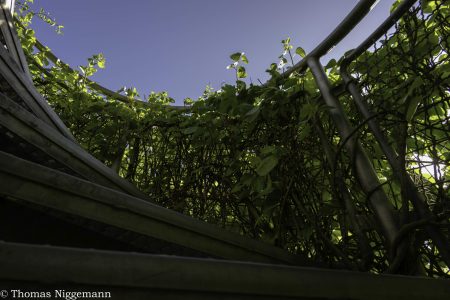 Von-unten-nach-oben_002-scaled