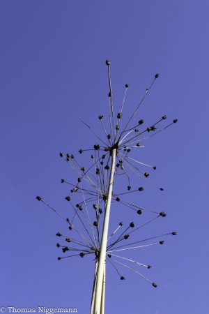 Von-unten-nach-oben_004-scaled