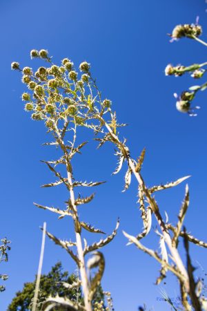 Von-unten-nach-oben_009-scaled