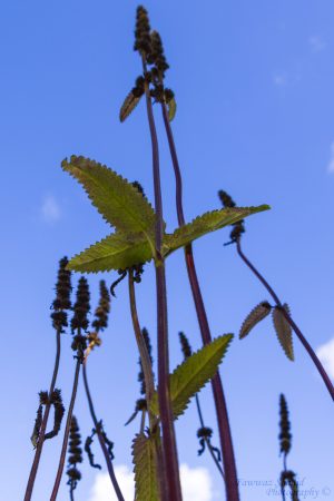 Von-unten-nach-oben_010-scaled