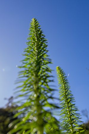 Von-unten-nach-oben_021-scaled