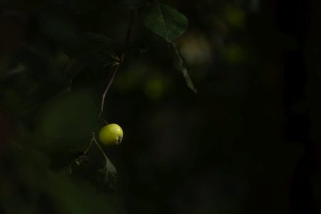 Von-unten-nach-oben_023-scaled