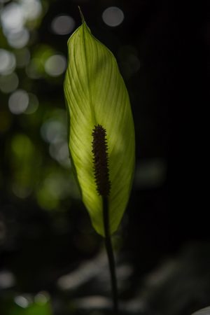 Von-unten-nach-oben_024-scaled