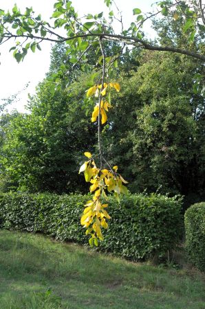 Von-unten-nach-oben_028-scaled