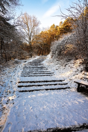 Winter_Impressionen_2026_001