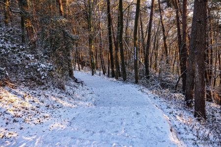 Winter_Impressionen_2026_006