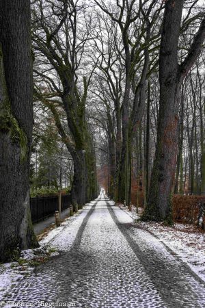 Winter_Impressionen_2026_011-scaled