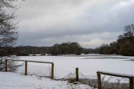 Winter_Impressionen_2026_013-scaled