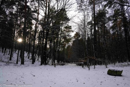 Winter_Impressionen_2026_016-scaled