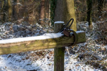 Winter_Impressionen_2026_017-scaled